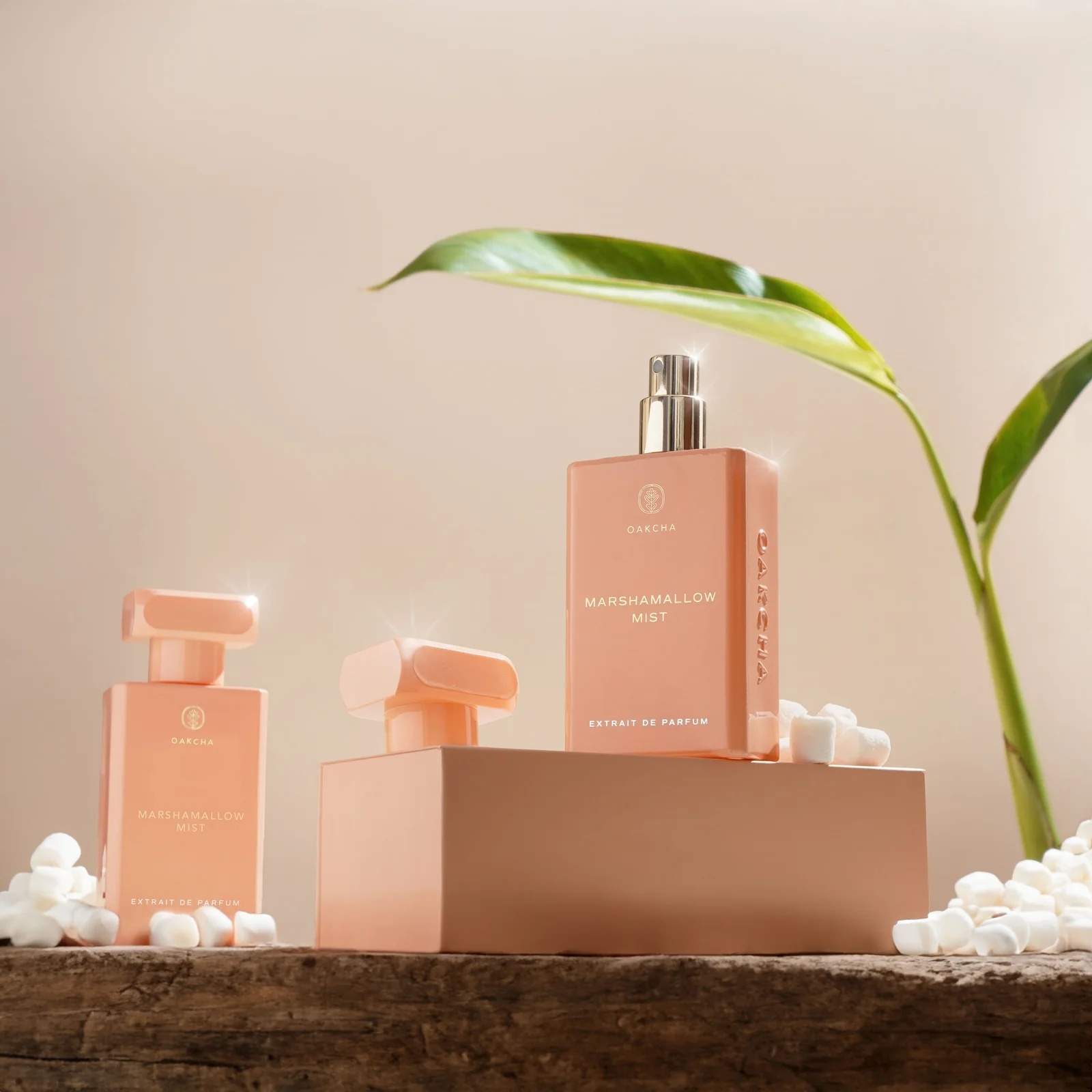 OAKCHA Marshmallow Mist Perfum - Perfume Juicy Fragrance 评论和价格